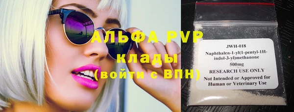 прущие грибы Коряжма