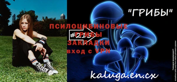 кокс Козловка