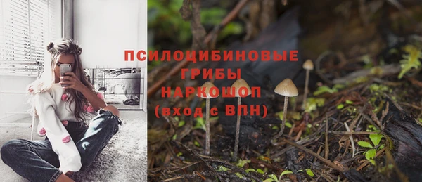 кокс Козловка