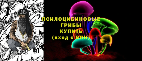 круглые Корсаков