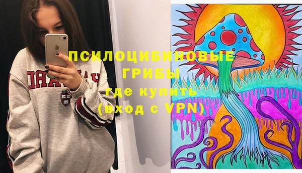 кокс Козловка