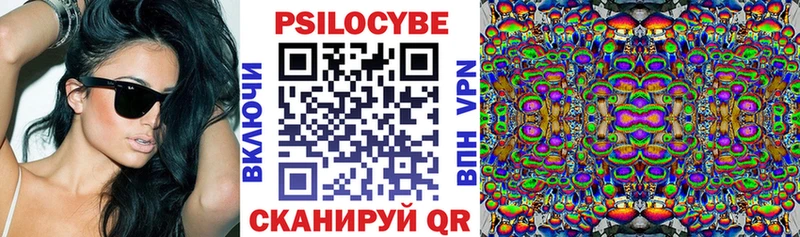 Купить  Аргун  Псилоцибиновые грибы GOLDEN TEACHER 